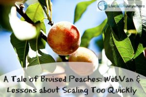A Tale of Bruised Peaches WebVan & Lessons about Scaling Too Quickly