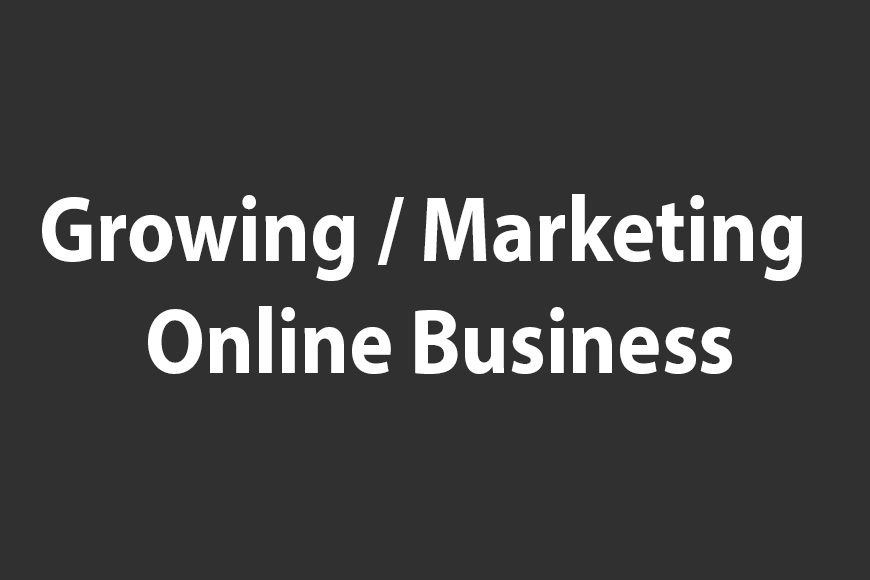 Growing/Marketing an Online Business Courses | Live Work Anywhere