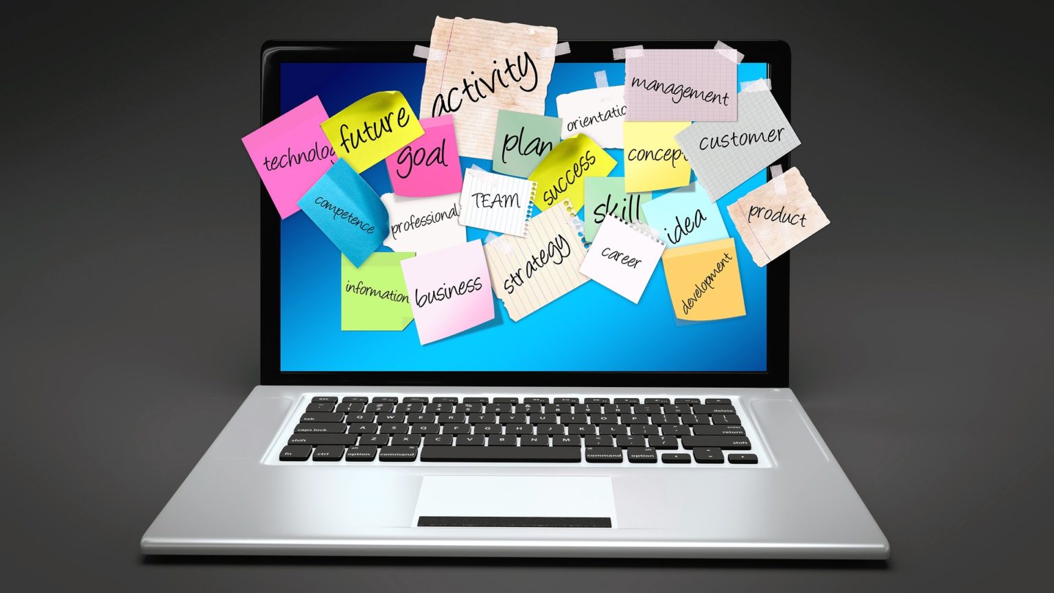 Personality traits and types for your ideal remote job or