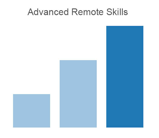 Advanced skills courses for a remote job