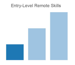 Entry-level skills courses for remote jobs